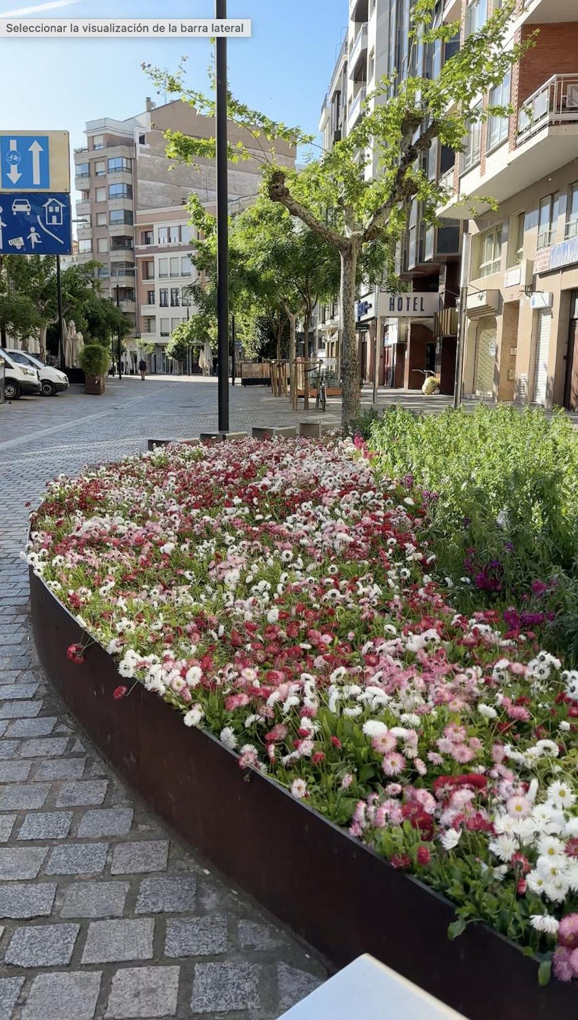 Esencia Del Casco Antiguo Lägenhet Logroño Exteriör bild